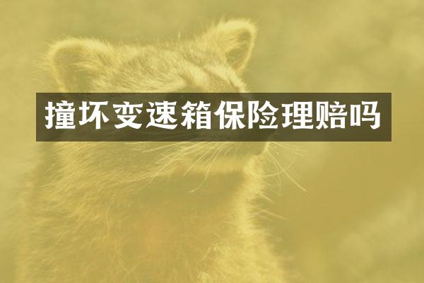 撞坏变速箱保险理赔吗