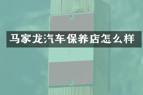 马家龙汽车保养店怎么样
