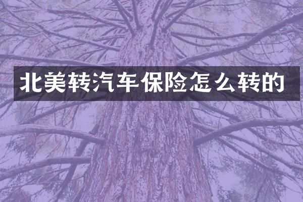 北美转汽车保险怎么转的