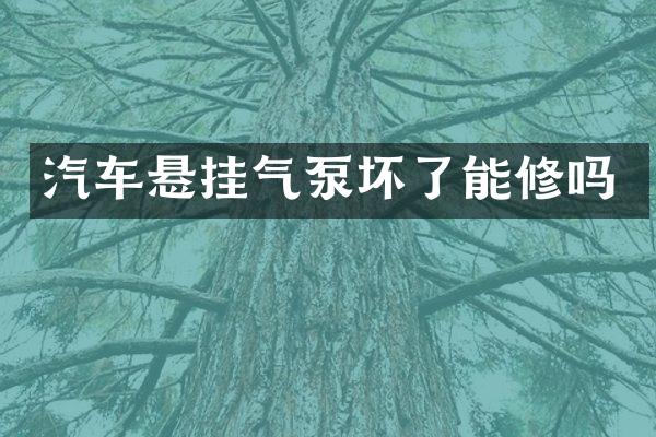 汽车悬挂气泵坏了能修吗