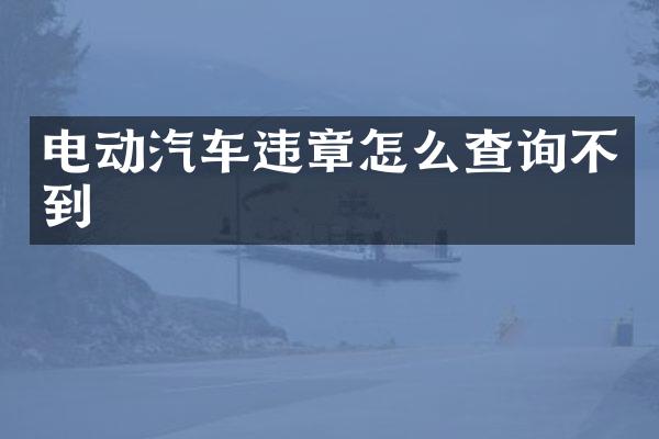 电动汽车违章怎么查询不到