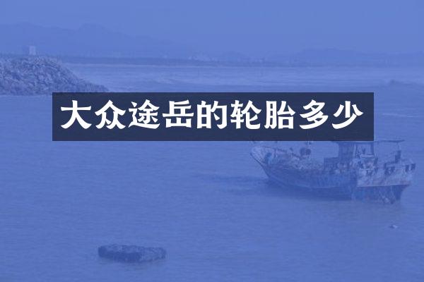大众途岳的轮胎多少