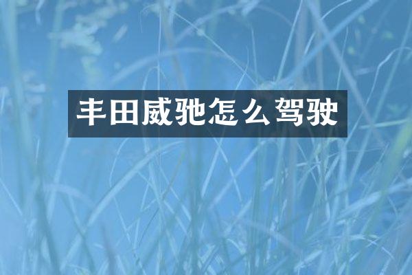 丰田威驰怎么驾驶