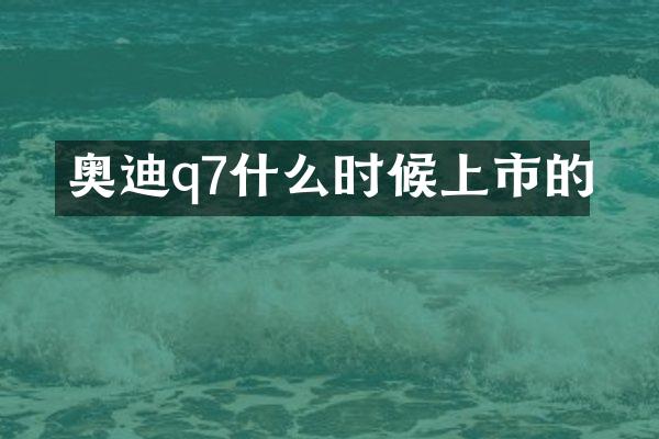 奥迪q7什么时候上市的