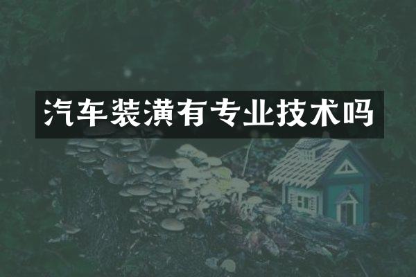 汽车装潢有专业技术吗