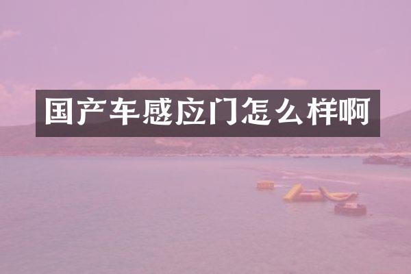 国产车感应门怎么样啊