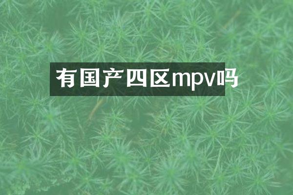 有国产四区mpv吗