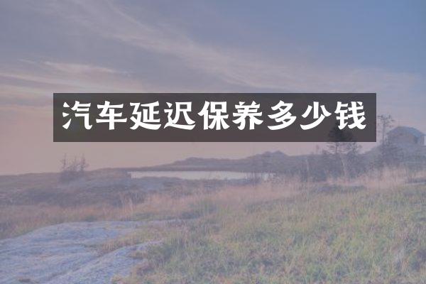 汽车延迟保养多少钱