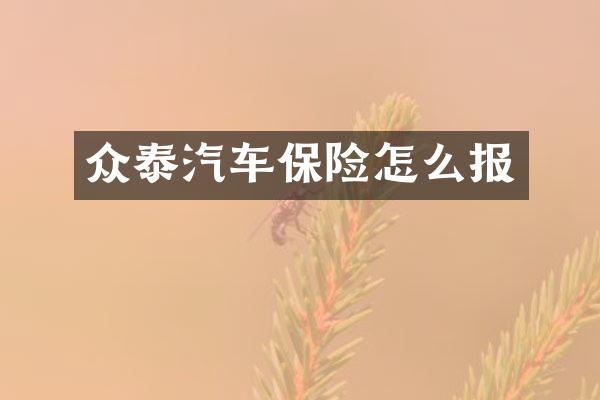 众泰汽车保险怎么报