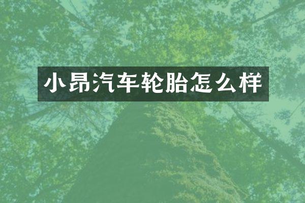 小昂汽车轮胎怎么样