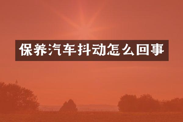保养汽车抖动怎么回事