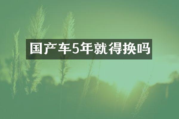 国产车5年就得换吗