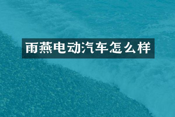 雨燕电动汽车怎么样