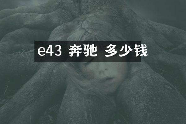 e43 奔驰 多少钱