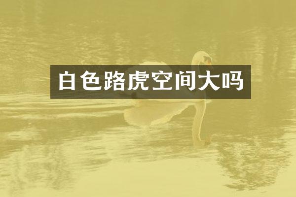 白色路虎空间大吗