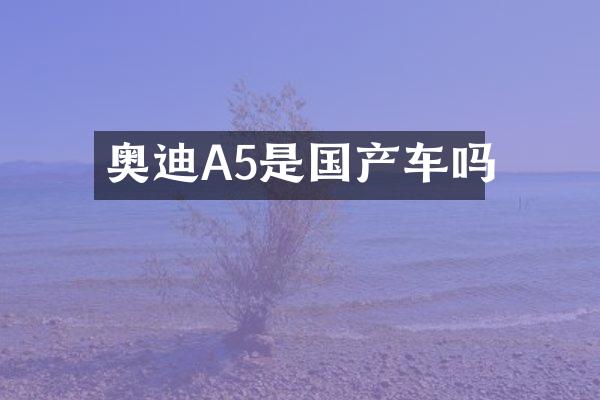 奥迪A5是国产车吗