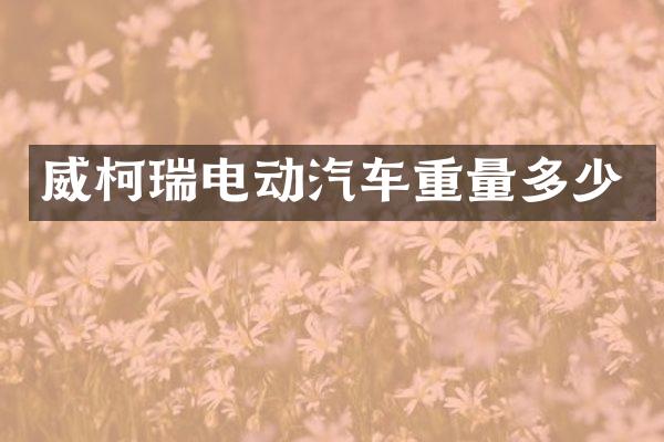 威柯瑞电动汽车重量多少