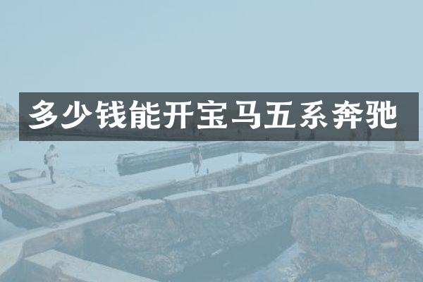 多少钱能开宝马五系奔驰