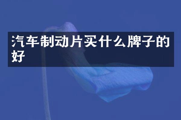 汽车制动片买什么牌子的好