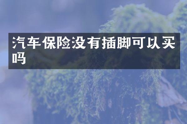 汽车保险没有插脚可以买吗