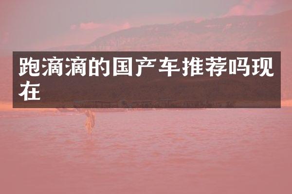 跑滴滴的国产车推荐吗现在