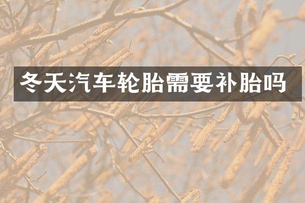 冬天汽车轮胎需要补胎吗