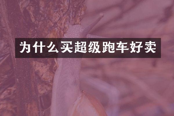 为什么买超级跑车好卖