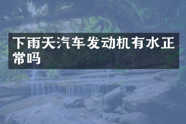 下雨天汽车发动机有水正常吗