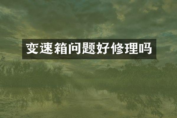 变速箱问题好修理吗