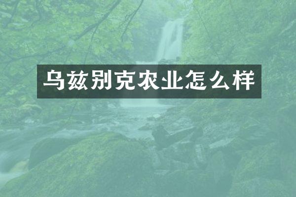 乌兹别克农业怎么样
