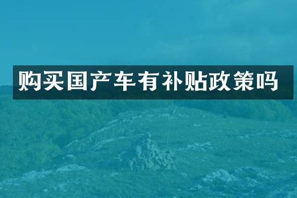 购买国产车有补贴政策吗