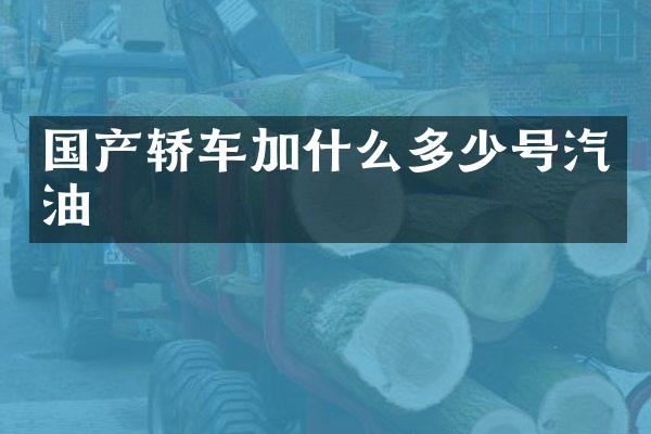 国产轿车加什么多少号汽油