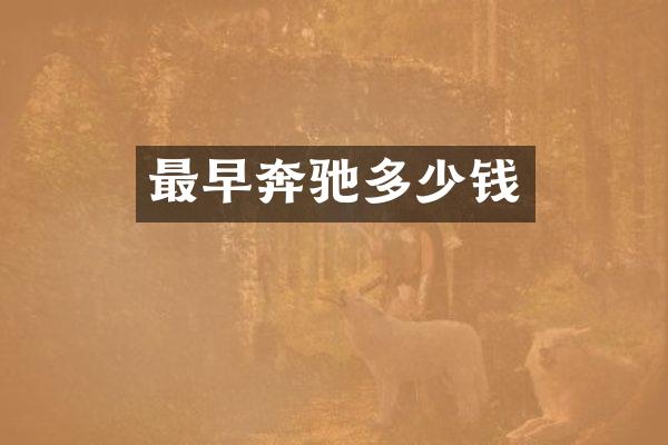 最早奔驰多少钱