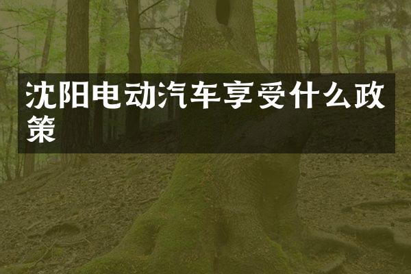 沈阳电动汽车享受什么政策