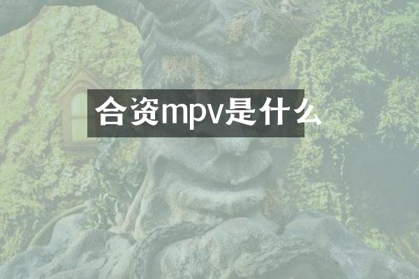 合资mpv是什么