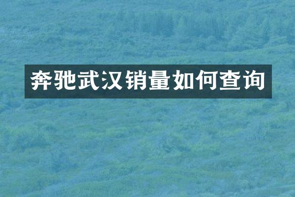 奔驰武汉销量如何查询