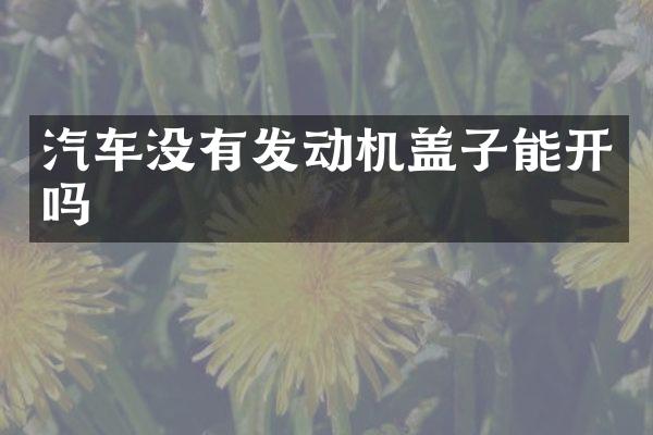 汽车没有发动机盖子能开吗