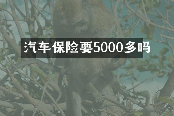 汽车保险要5000多吗