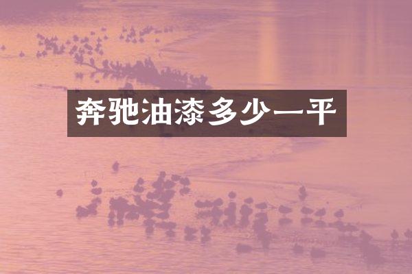 奔驰油漆多少一平