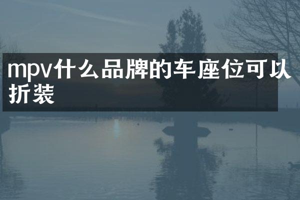 mpv什么品牌的车座位可以折装