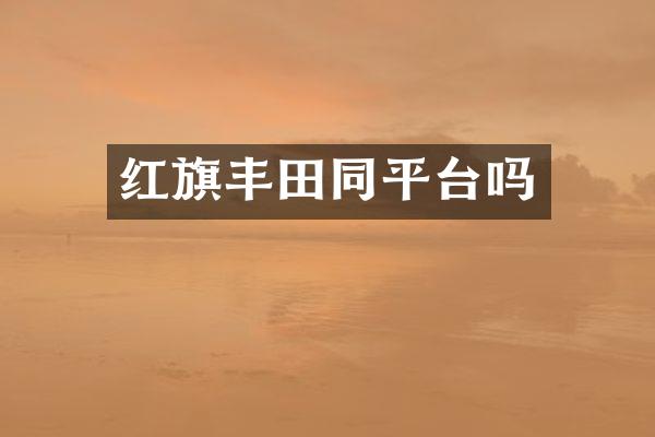 红旗丰田同平台吗