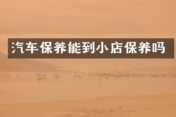 汽车保养能到小店保养吗