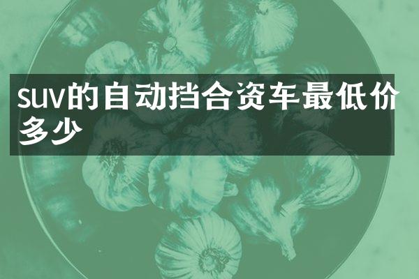 suv的自动挡合资车最低价多少