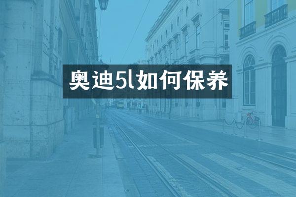 奥迪5l如何保养
