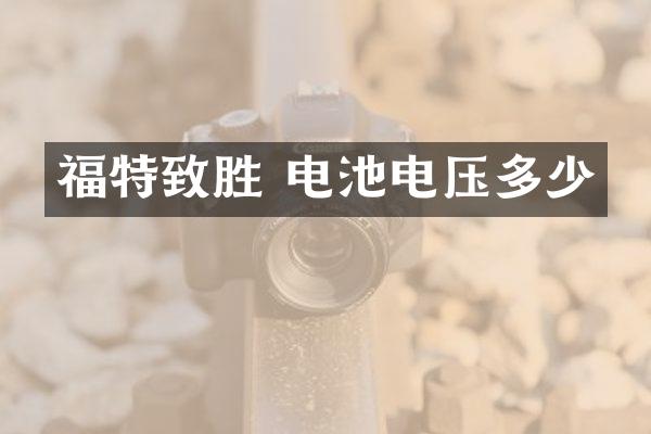福特致胜 电池电压多少