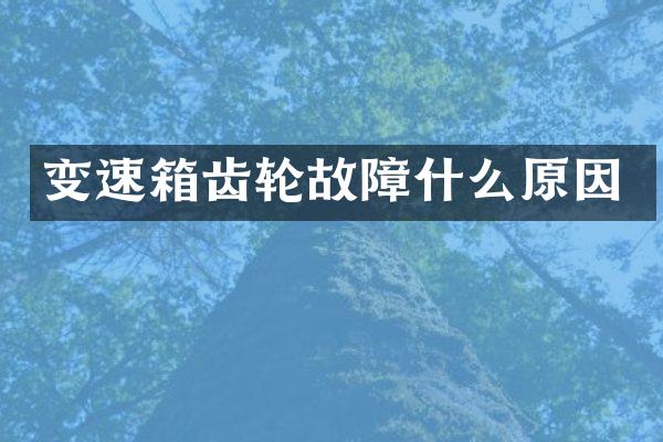 变速箱齿轮故障什么原因