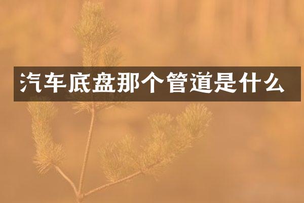 汽车底盘那个管道是什么