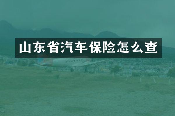山东省汽车保险怎么查