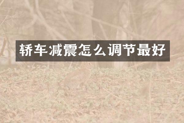 轿车减震怎么调节最好