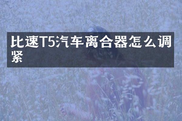比速T5汽车离合器怎么调松紧